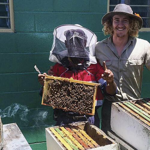 Dr Cooper Schouten is the director of a new  bee research centre.